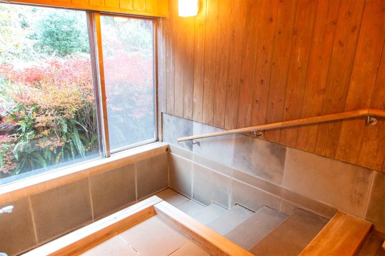 嬉野温泉 大正屋 椎葉山荘