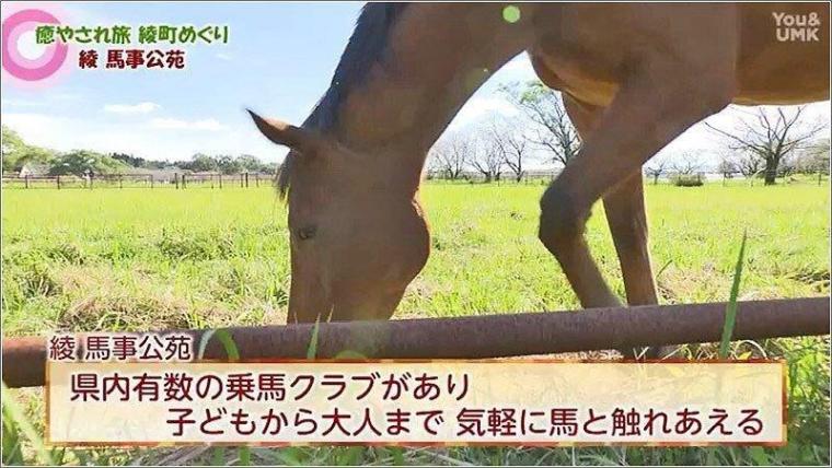 綾 馬事公苑