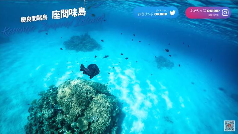 座間味島