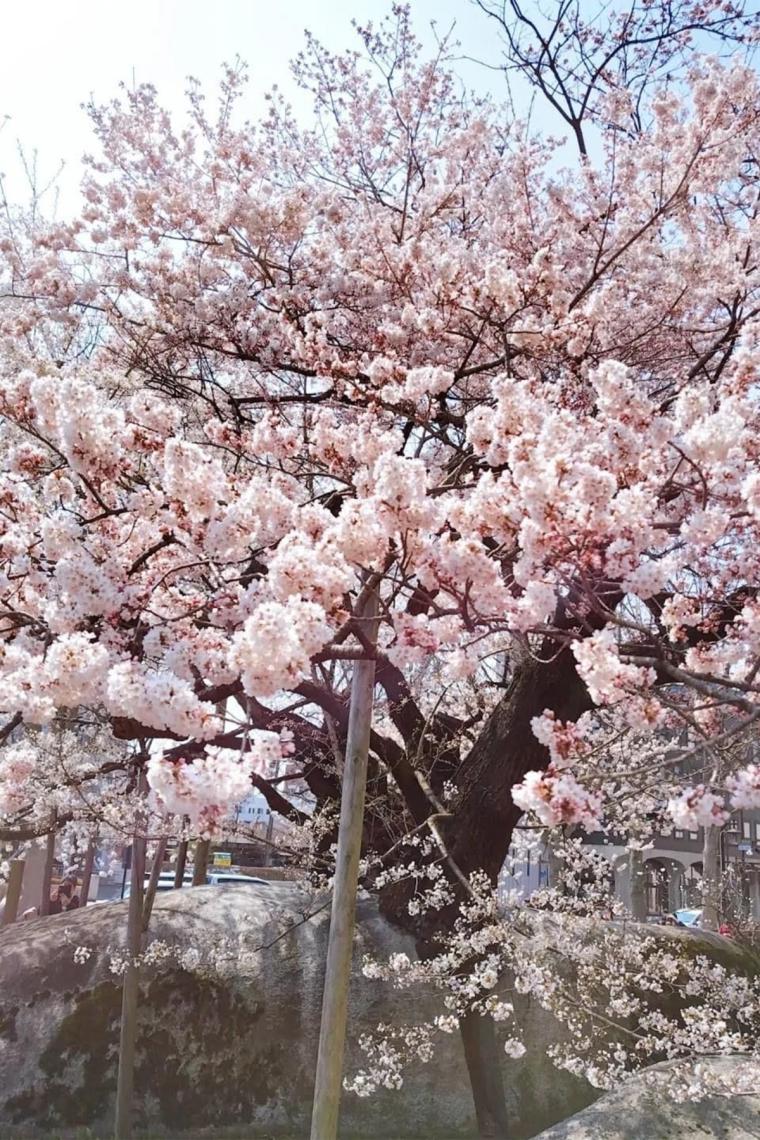 盛岡観光