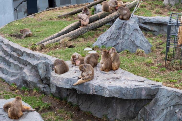 札幌市円山動物園
