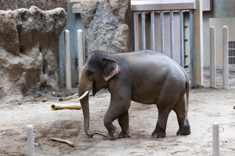 札幌市円山動物園