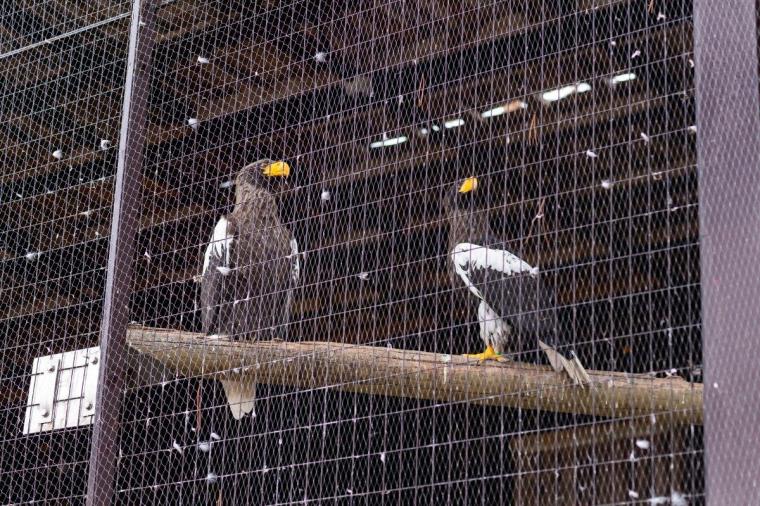札幌市円山動物園