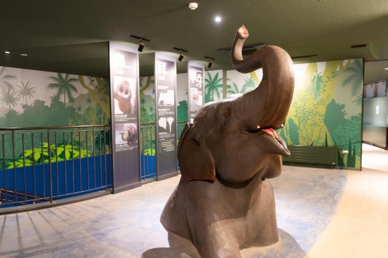 札幌市円山動物園