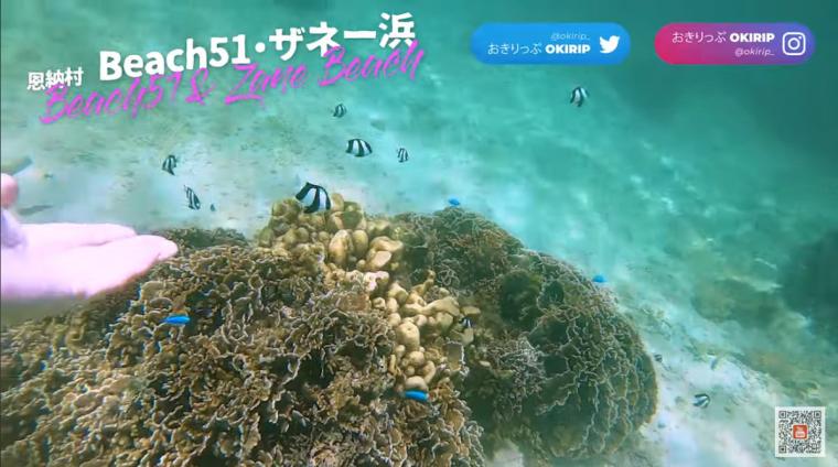 ザネー浜
