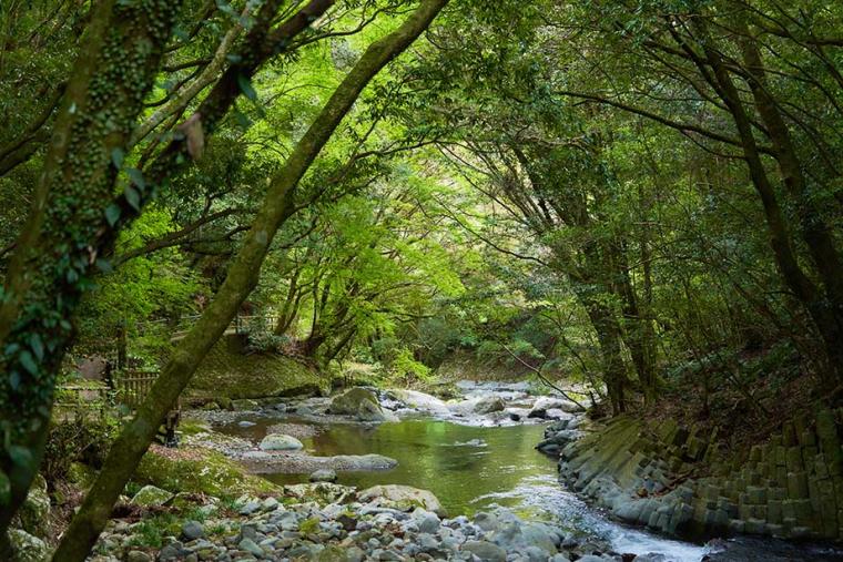 静岡「河津七滝」は滝初心者におすすめ！散歩気分で7つの滝を巡ろう