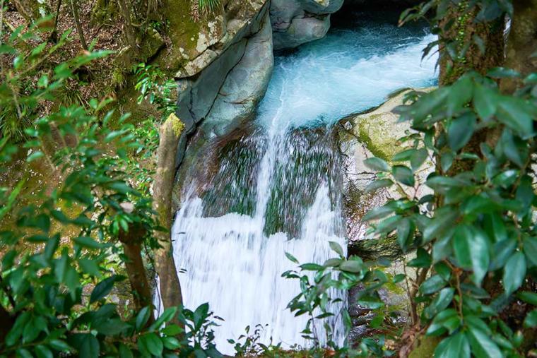 静岡「河津七滝」は滝初心者におすすめ！散歩気分で7つの滝を巡ろう