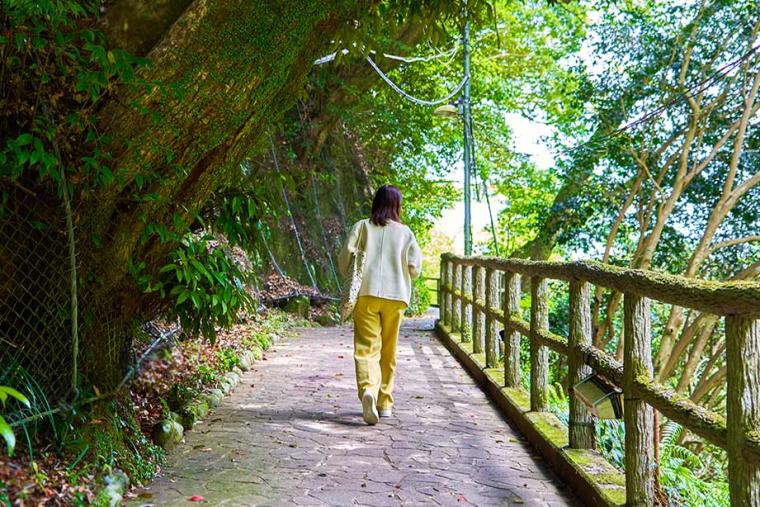 静岡「河津七滝」は滝初心者におすすめ！散歩気分で7つの滝を巡ろう