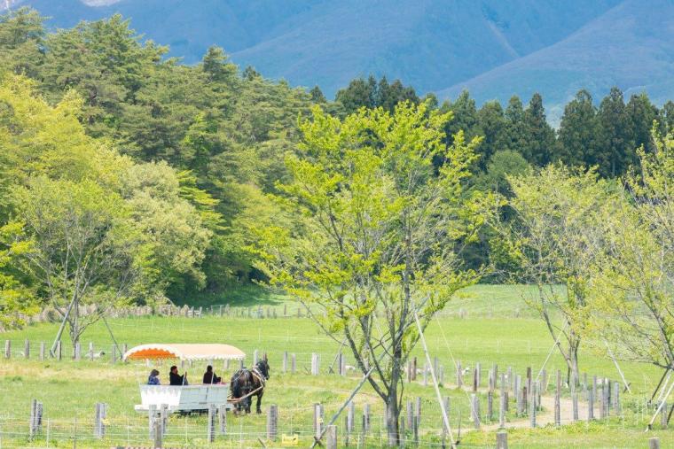 小岩井農場