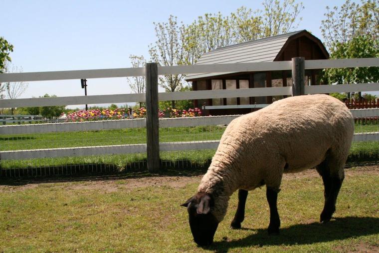 モエレ沼公園