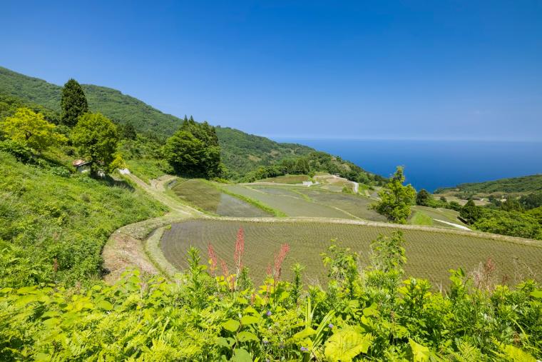 佐渡島