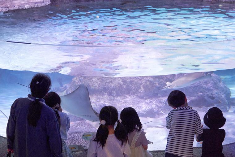 シーライフ名古屋