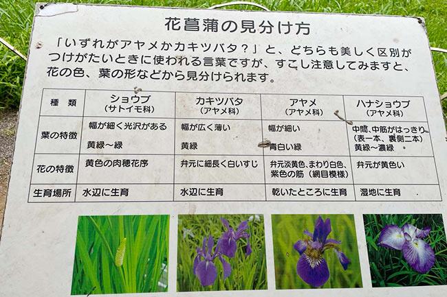 明治神宮