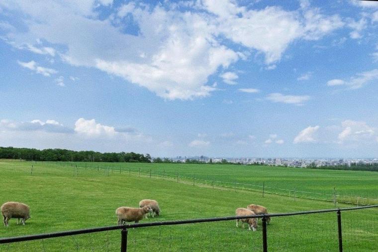 さっぽろ羊ヶ丘展望台