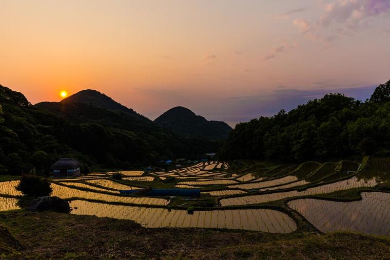 日本の原風景を見下ろす「石部棚田（いしぶたなだ）」