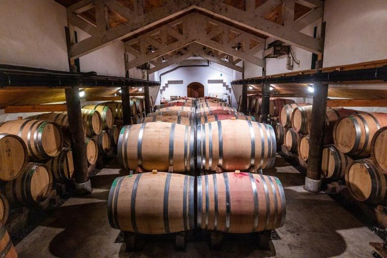 Winerystay TRAVIGNE