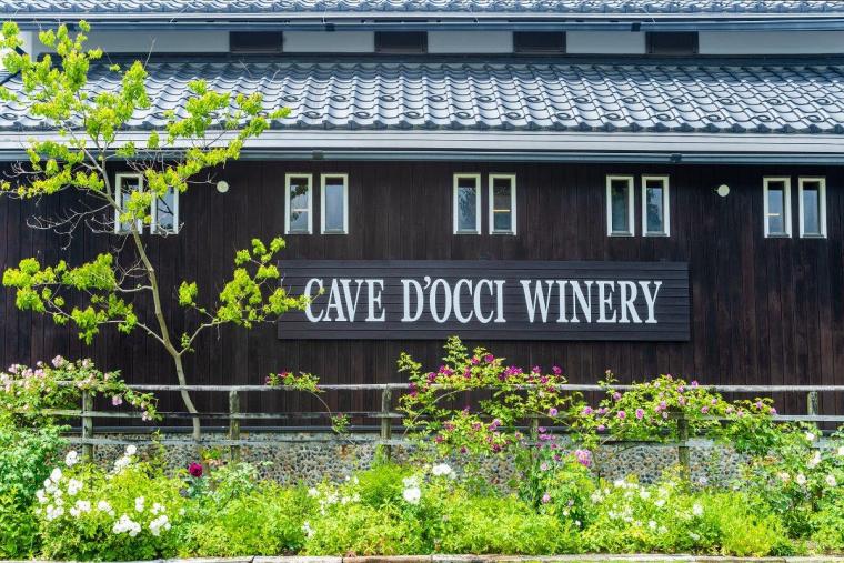 Winerystay TRAVIGNE