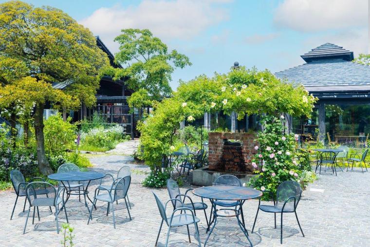 Winerystay TRAVIGNE