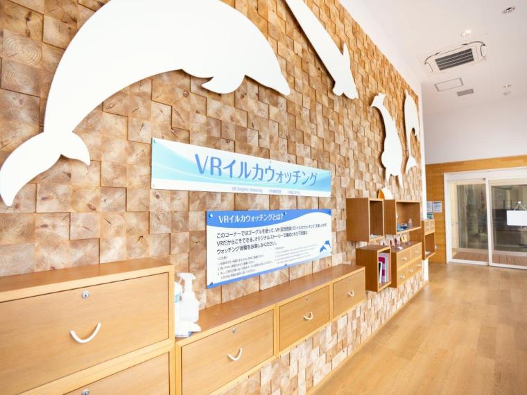 道の駅天草市イルカセンター　VRイルカウォッチング