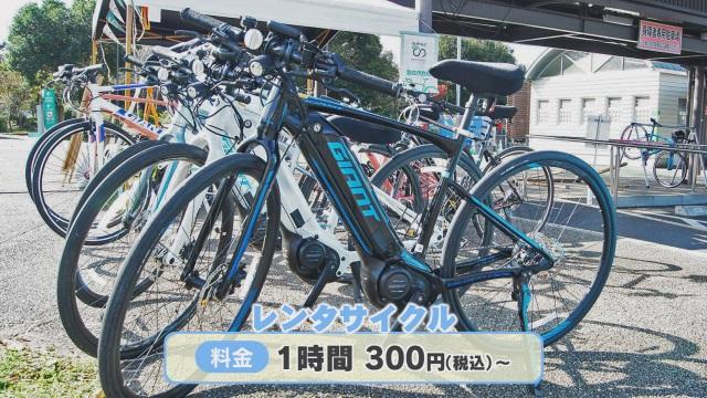 道の駅やよい