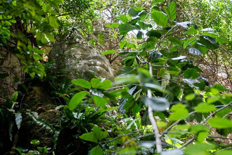 絶景ビューの憧れ宿「百名伽藍」神秘の地で過ごす癒しのリゾートステイ