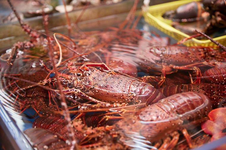西銘鮮魚店