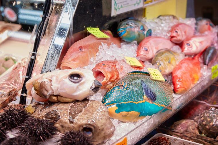 西銘鮮魚店