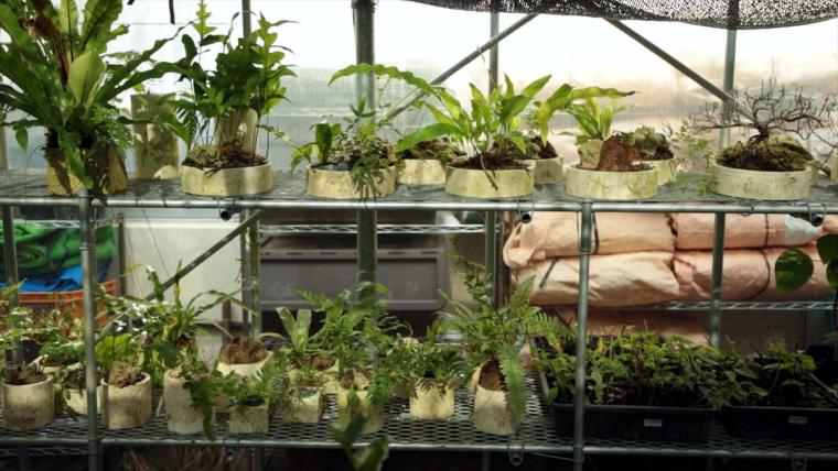 KISETSU BIOPHILIC DESIGN