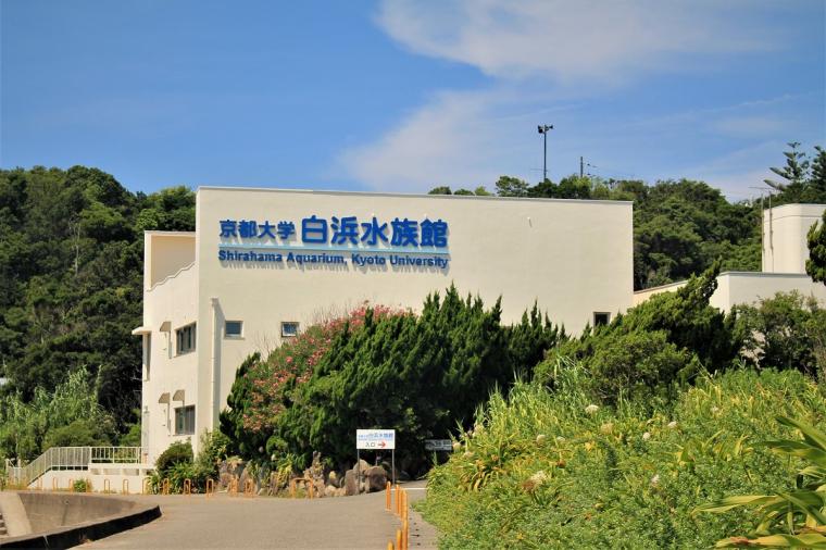 【2023年版】関西のおすすめ水族館13選！