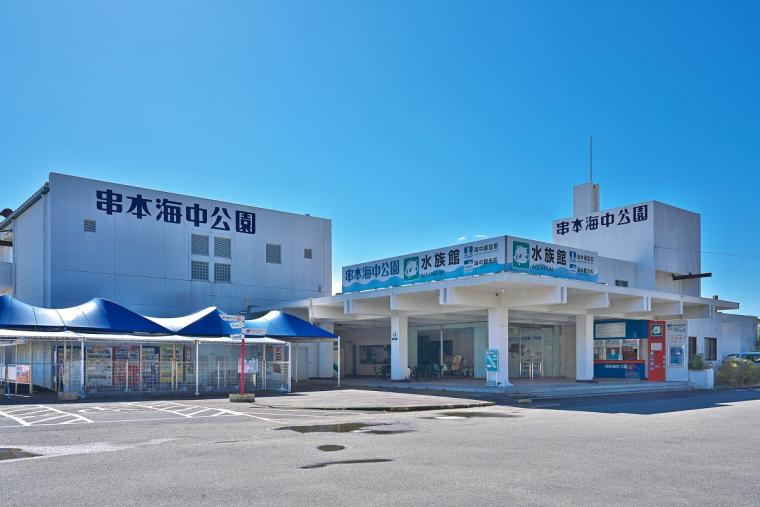 【2023年版】関西のおすすめ水族館13選！