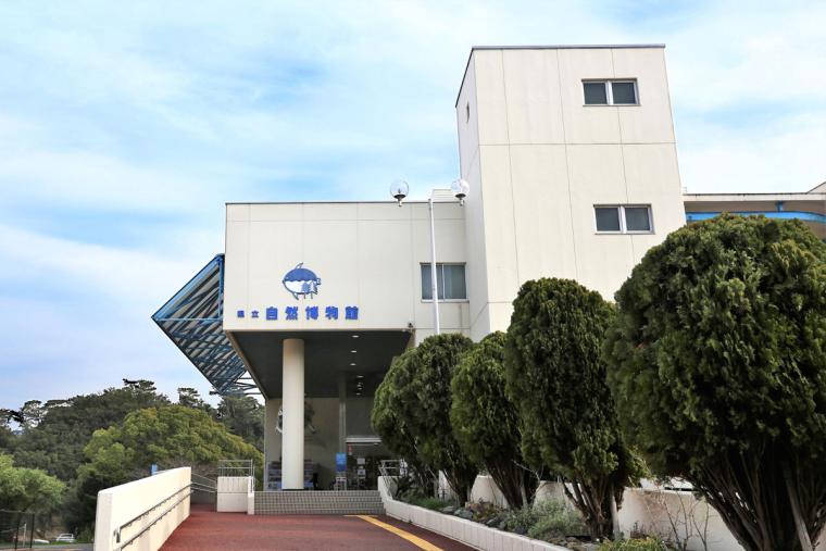 【2023年版】関西のおすすめ水族館13選！