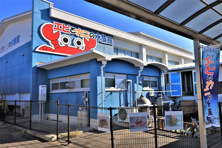 【2023年版】関西のおすすめ水族館13選！