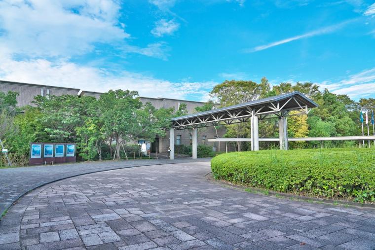 【2023年版】関西のおすすめ水族館13選！