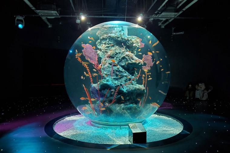 【2023年版】関西のおすすめ水族館13選！