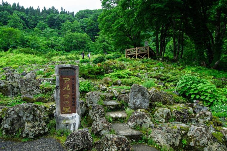 大パノラマの絶景と、可憐な高山植物に癒やされる