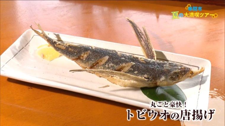 宮崎県串間市 夏の大満喫ツアー!!! 