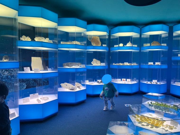 島根県奥出雲町にある「泊まれる博物館」！ドキドキナイトミュージアムや恐竜ルームに大興奮！