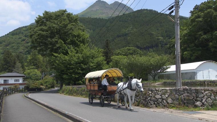 半世紀前の地震で誕生した町の風物詩由布院の辻馬車