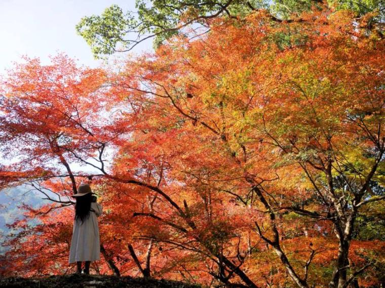 【2023最新】九州のおすすめ紅葉スポット30選