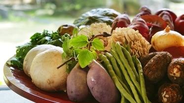 畑から直行！とれたて野菜がおいしい【自家農園のある宿・ホテル】15 選