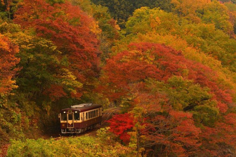 わたらせ渓谷鐵道 紅葉