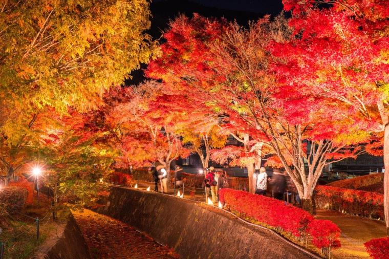 河口湖 紅葉
