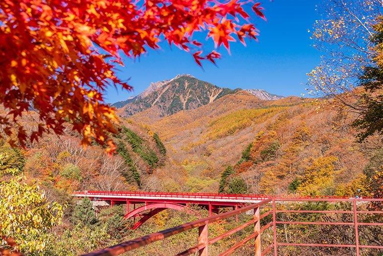 清里高原 紅葉