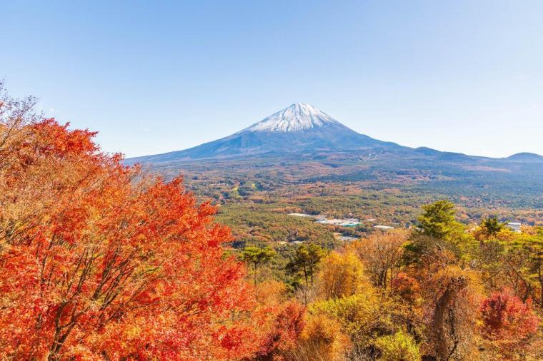 紅葉台 紅葉
