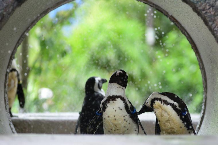 上野動物園