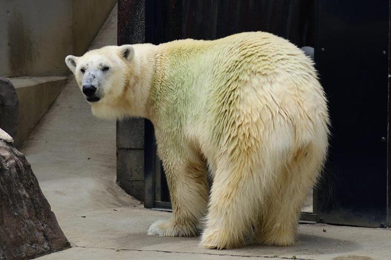 上野動物園