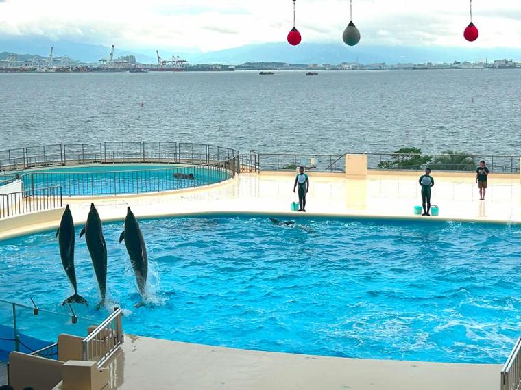 マリンワールド海の中道