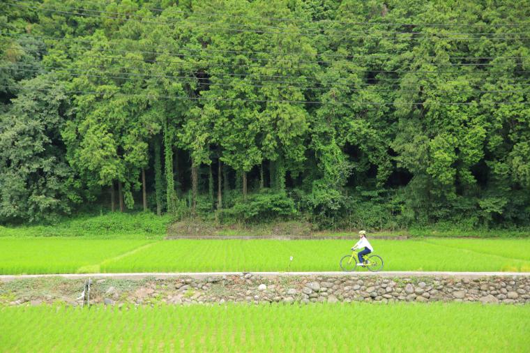 サイクリング
