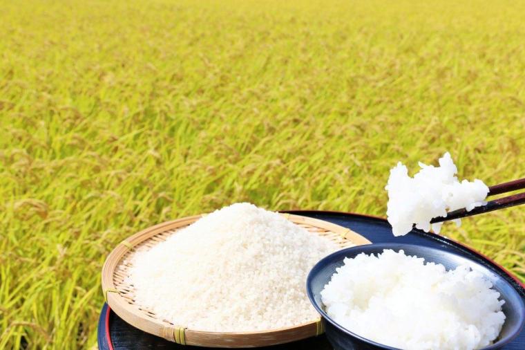 【2023年最新】秋田県で食べたい！ご当地グルメ・旅めしランキング