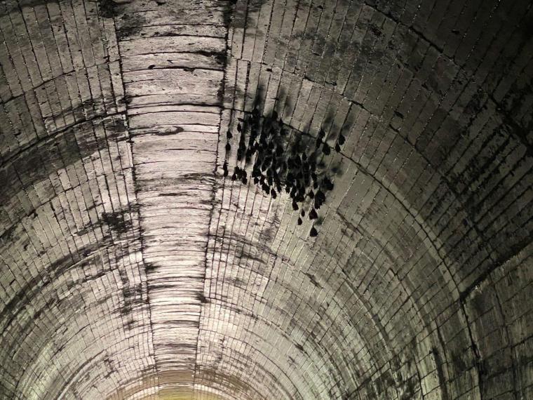 一度も列車が走ることのなかった「幻の鉄道遺跡」！島根県と広島県をつなぐ広浜鉄道